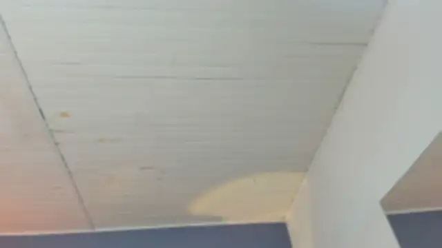 BellaBoobs  online show from October 3, 7:44 pm