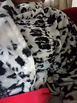 Mimi69dalo3a online show from December 19, 8:10 am