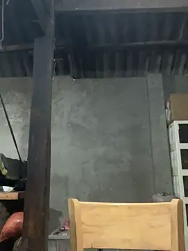 Binjt online show from December 14, 10:20 am