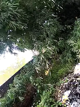 Snapshot of onlymasti00 chatting on November 4, 8:57 am onlymasti00 online show from November 4, 8:57 am