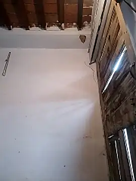 PunjabiSardarBull online show from March 19, 4:38 am