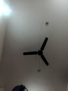 Appypie online show from November 3, 6:03 am