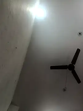 Appypie online show from November 10, 5:06 am