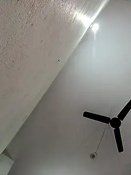 Appypie online show from November 11, 5:51 am