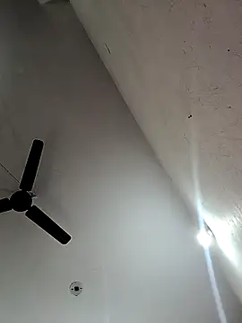 Appypie online show from November 12, 6:36 am