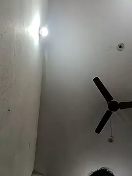 Appypie online show from November 17, 6:41 am