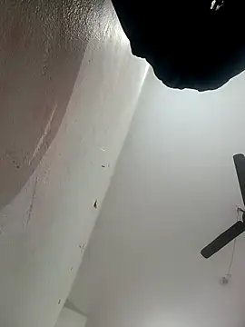 Appypie online show from February 1, 8:46 am