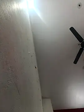 Appypie online show from February 2, 6:34 am