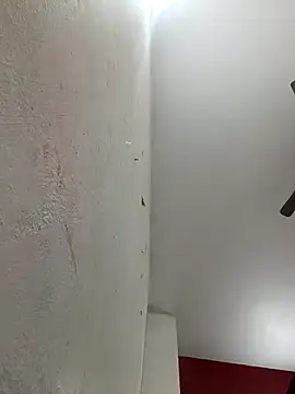 Appypie online show from February 3, 6:11 am