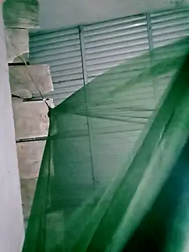 Snapshot of Lisa_pusy chatting on November 14, 12:48 pm Lisa pusy online show from November 14, 12:48 pm