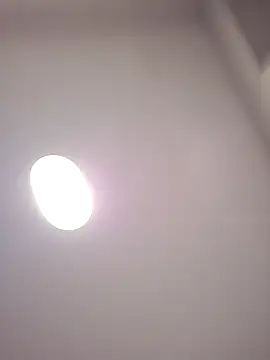 Danypeluche online show from December 15, 8:40 am