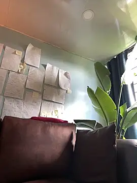 Canneela online show from March 11, 6:47 pm