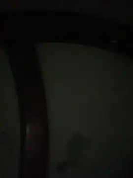 Bruno18cmmmmkk online show from December 4, 2:10 am