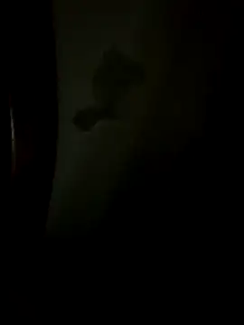 Bruno18cmmmmkk online show from December 19, 3:46 am