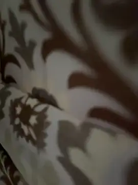 Snapshot of tran_my chatting on November 12, 5:08 am tran my online show from November 12, 5:08 am