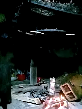 ngan-cute online show from November 17, 1:28 pm