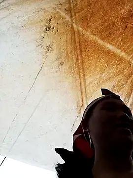 Snapshot of bing-bing88 chatting on February 20, 3:25 am bing-bing88 online show from February 20, 3:25 am