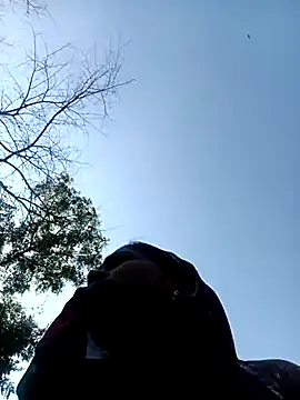 Hot-honi online show from December 18, 7:36 am