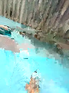 Hot-honi online show from December 22, 9:06 am