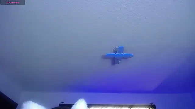  Charlotte Collins  online show from February 17, 2:35 pm