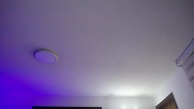  Charlotte Collins  online show from May 19, 3:29 pm