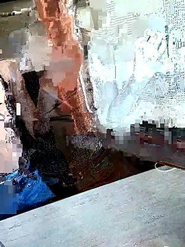 Ariel cp online show from March 17, 1:14 pm