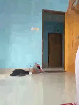 Arohi 51 online show from October 26, 3:56 am