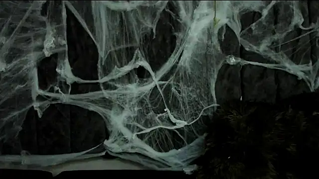 Rowan Mills online show from October 10, 8:19 pm