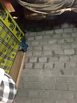 tcm-cute online show from February 9, 2:15 am