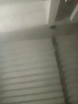 Payal950 online show from October 18, 3:13 pm