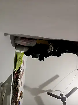 Payal950 online show from November 8, 12:22 am