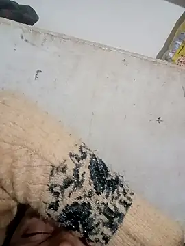 Payal950 online show from December 3, 3:43 pm