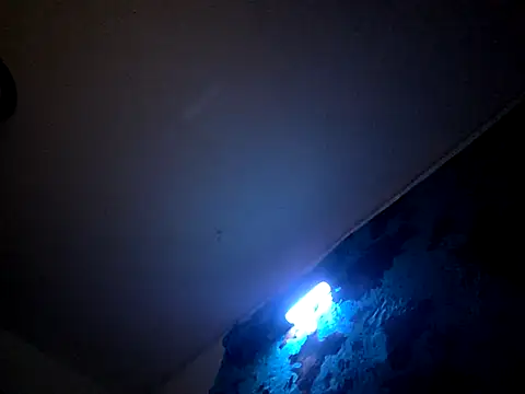 Snapshot of Bigdickdavis6969 chatting on February 15, 2:58 pm Bigdickdavis6969 online show from February 15, 2:58 pm