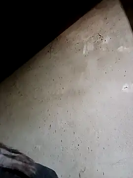 Snapshot of Sophia-pusy chatting on November 24, 10:37 am Sophia-pusy online show from November 24, 10:37 am