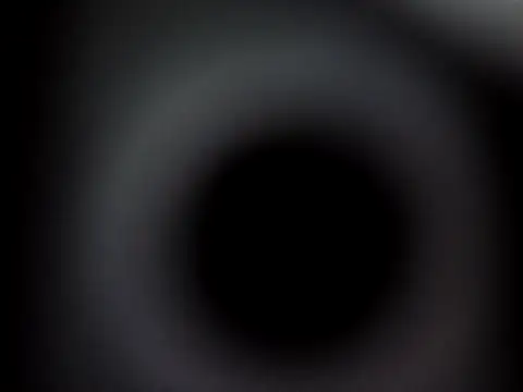 Ricotta1 online show from December 21, 12:01 pm