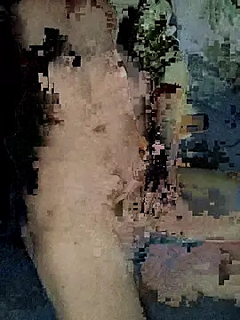 Snapshot of xxxxxcgbn chatting on February 5, 4:17 am xxxxxcgbn online show from February 5, 4:17 am