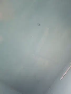 xyz-indian online show from October 5, 10:02 am