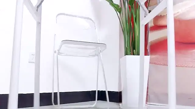 Tianxin6 online show from January 6, 8:18 am