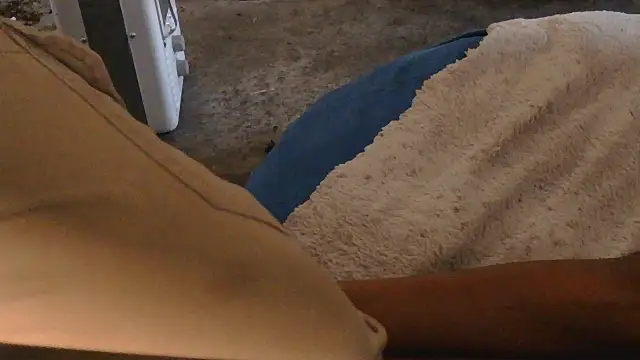 Gmajor online show from November 19, 11:05 pm