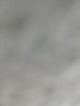 Snapshot of SmartLoda143 chatting on February 8, 3:04 pm SmartLoda143 online show from February 8, 3:04 pm