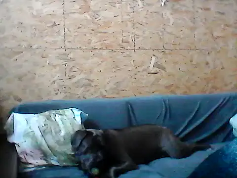 Milana38 online show from January 16, 11:14 am