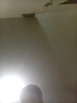 Bebicho14 online show from November 22, 5:28 am