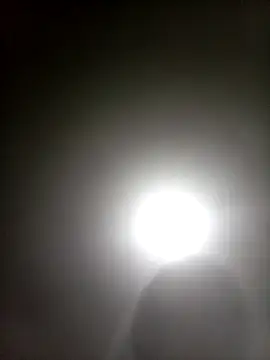 Bebicho14 online show from April 5, 4:42 am