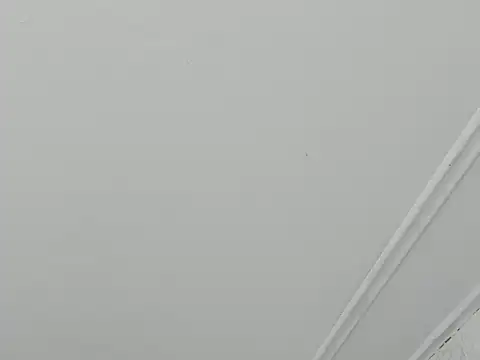 paull george online show from November 28, 5:48 pm