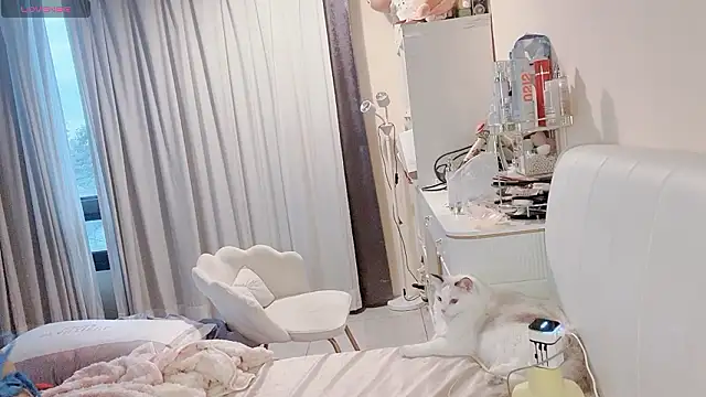 jiajia 0902 online show from March 19, 9:46 am