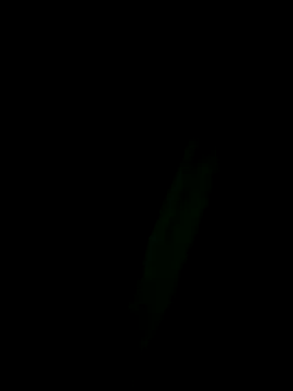 Marleymols online show from December 2, 1:55 am