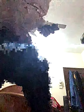 FlungBergenia online show from December 21, 6:04 pm