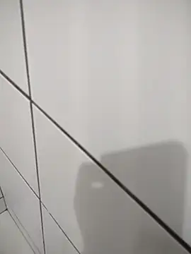 Novin23cms online show from November 14, 11:24 pm