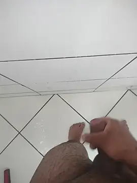 Novin23cms online show from December 3, 2:26 pm