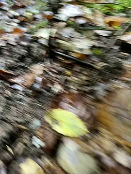 andymatthisbwc online show from October 5, 3:43 pm